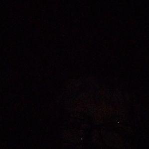 Meet your Posher, Don